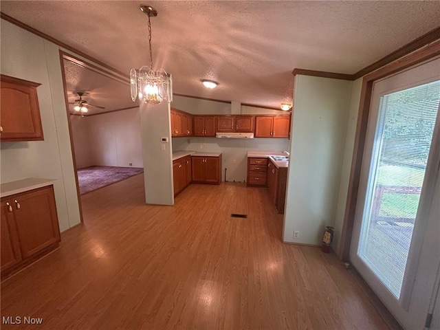 355 Muskingum River Rd, Marietta, OH 45750 - kitchen featuring brown cabinetry, light wood-type flooring, healthy amount of natural light, under cabinet range hood, and ornamental molding
