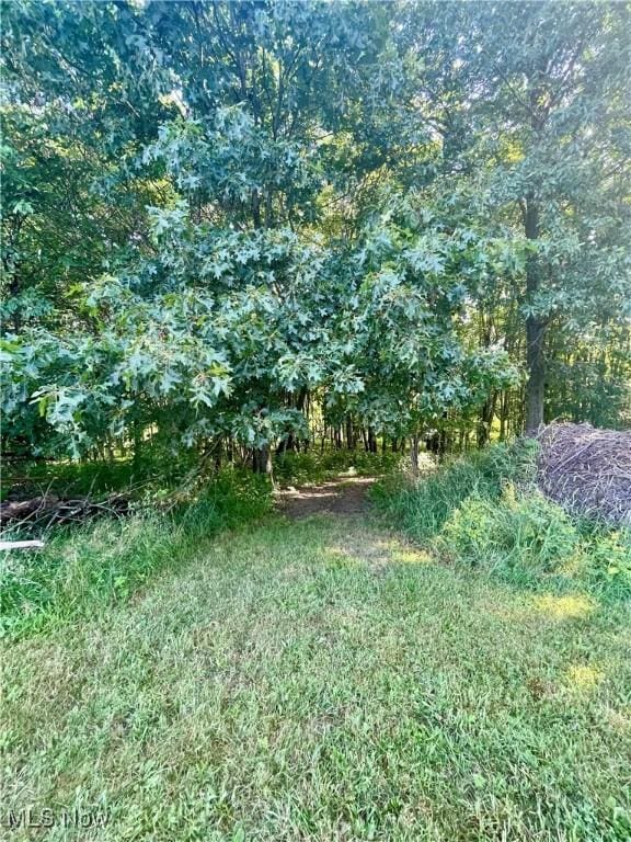 153 Lowes Dr, New Cumberland, WV 26047 - view of local wilderness