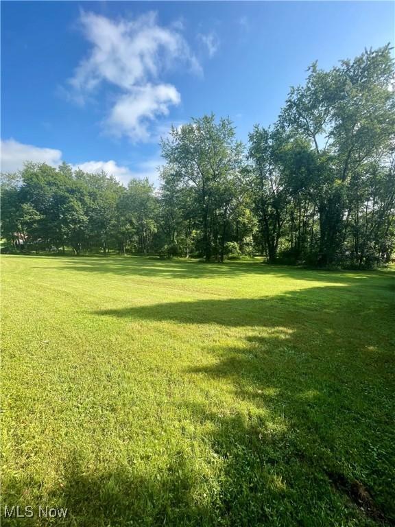 153 Lowes Dr, New Cumberland, WV 26047 - view of green lawn