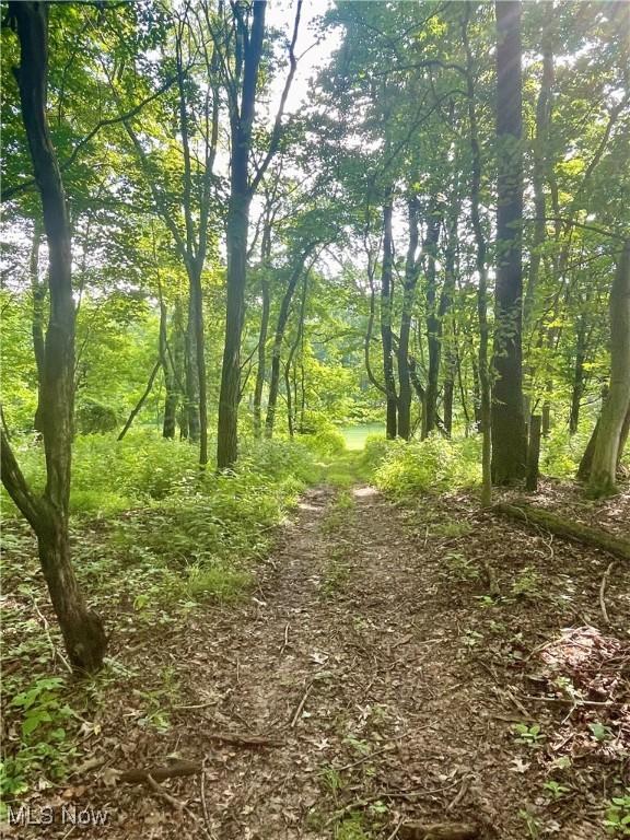 153 Lowes Dr, New Cumberland, WV 26047 - view of undeveloped land