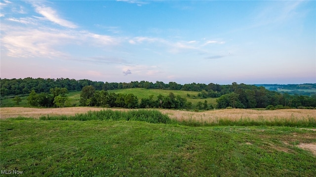 52110 Spencer Rd, Cumberland, OH 43732 - view of nature featuring rural landscape
