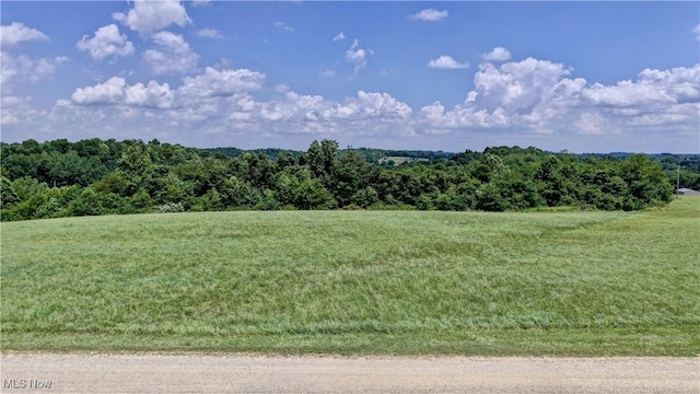 Township Road 363, Walhonding, OH 43843 - photo 1