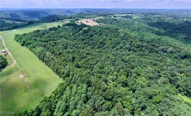 Township Road 363, Walhonding, OH 43843 - photo 6