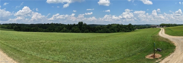 Township Road 363, Walhonding, OH 43843 - photo 9