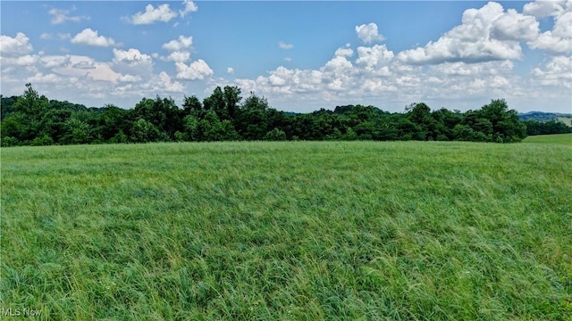 Township Road 363, Walhonding, OH 43843 - photo 16