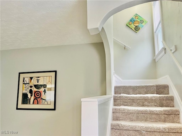 10914 Fidelity Ave, Cleveland, OH 44111 - photo 17