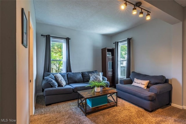 135 S 31st St, Newark, OH 43055 - living area featuring healthy amount of natural light, carpet, rail lighting, and a textured ceiling