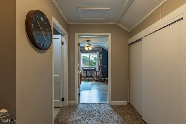 135 S 31st St, Newark, OH 43055 - hallway with lofted ceiling, ornamental molding, and carpet flooring