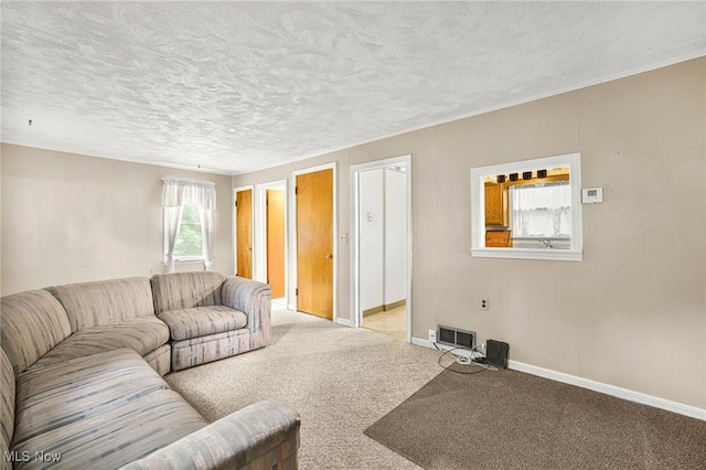 192 Swartz Rd, Akron, OH 44319 - carpeted living room featuring baseboards and a textured ceiling