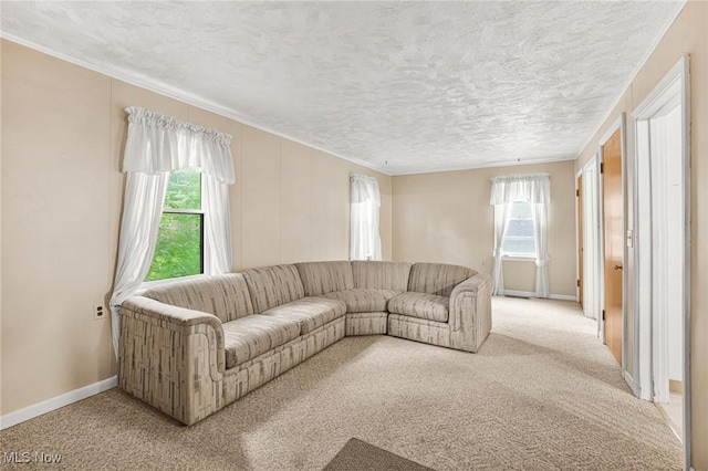 192 Swartz Rd, Akron, OH 44319 - living room featuring plenty of natural light, crown molding, light colored carpet, and a textured ceiling
