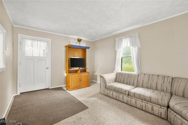 192 Swartz Rd, Akron, OH 44319 - living area with carpet flooring and crown molding
