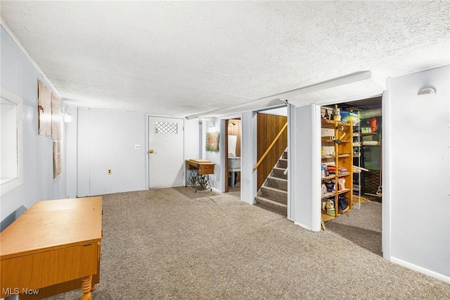 192 Swartz Rd, Akron, OH 44319 - finished below grade area featuring a textured ceiling, carpet floors, and stairs