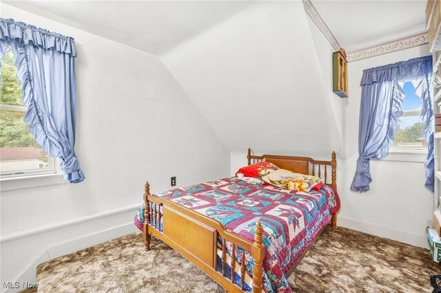 192 Swartz Rd, Akron, OH 44319 - bedroom featuring vaulted ceiling and baseboards