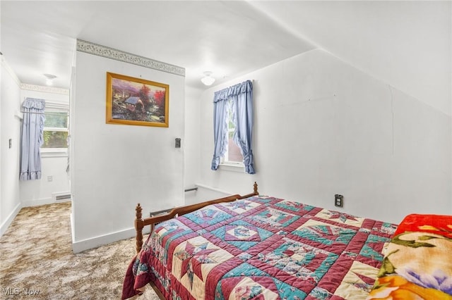 192 Swartz Rd, Akron, OH 44319 - bedroom featuring carpet floors and baseboards