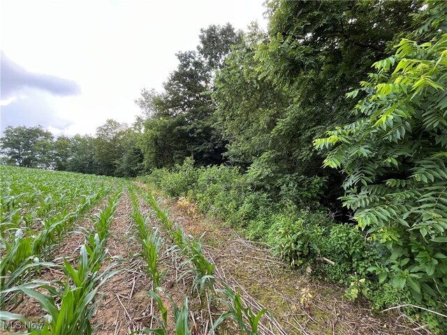 0 State Route 95, Jeromesville, OH 44842 - photo 7