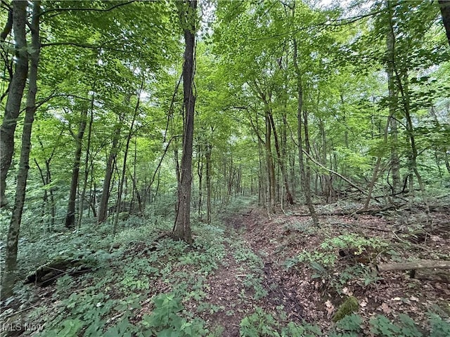 Shepards Hill Rd, Jacobsburg, OH 43933 - photo 4