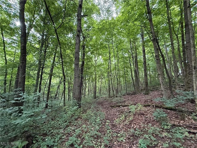 Shepards Hill Rd, Jacobsburg, OH 43933 - photo 5