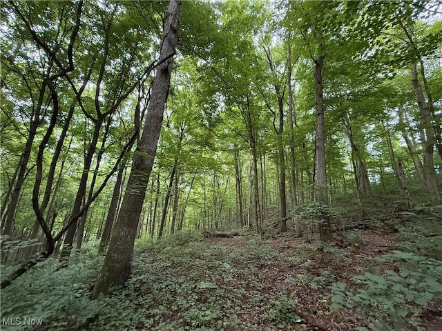 Shepards Hill Rd, Jacobsburg, OH 43933 - photo 6