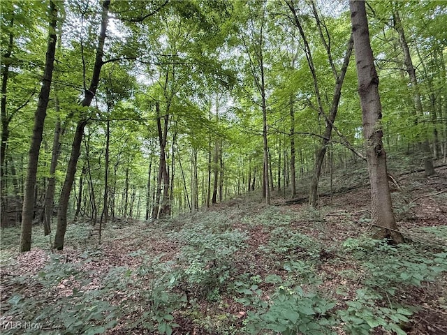 Shepards Hill Rd, Jacobsburg, OH 43933 - photo 7