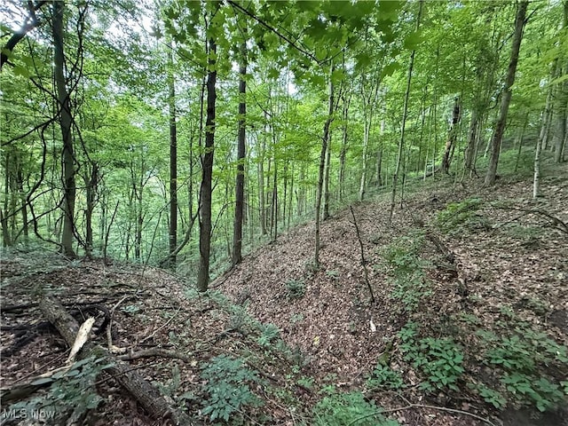 Shepards Hill Rd, Jacobsburg, OH 43933 - photo 8