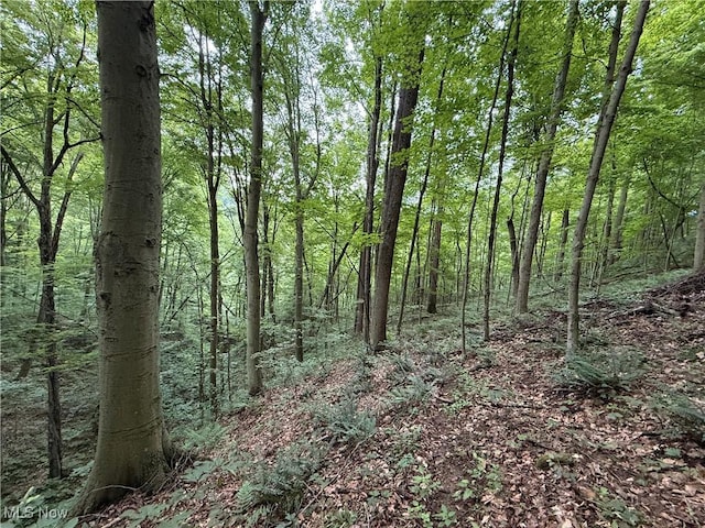 Shepards Hill Rd, Jacobsburg, OH 43933 - photo 9