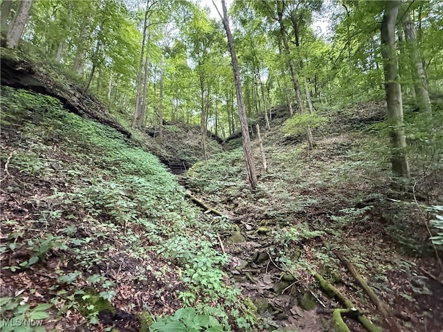 Shepards Hill Rd, Jacobsburg, OH 43933 - photo 10