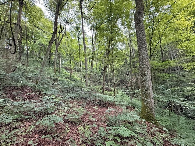 Shepards Hill Rd, Jacobsburg, OH 43933 - photo 11