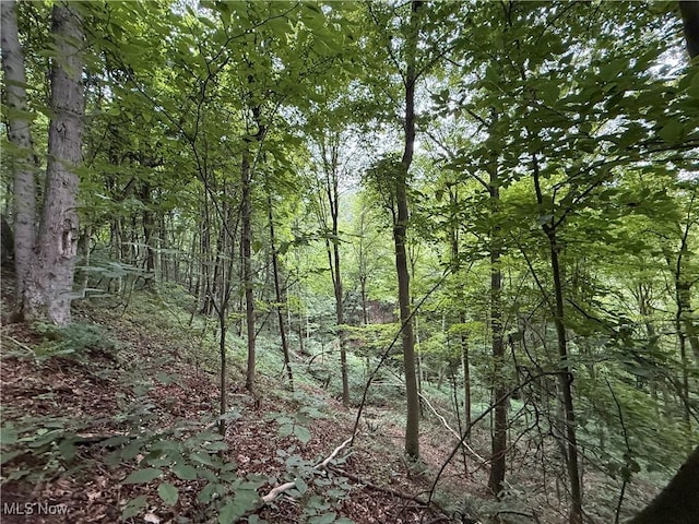 Shepards Hill Rd, Jacobsburg, OH 43933 - photo 12