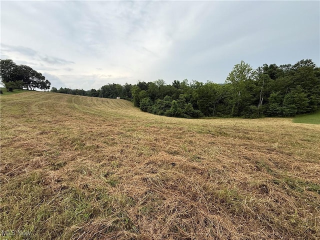 Shepards Hill Rd, Jacobsburg, OH 43933 - photo 1