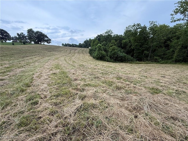 Shepards Hill Rd, Jacobsburg, OH 43933 - photo 2