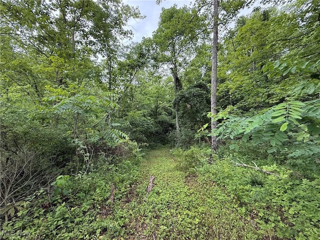 Shepards Hill Rd, Jacobsburg, OH 43933 - photo 3