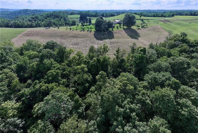 Shepards Hill Rd, Jacobsburg, OH 43933 - photo 31
