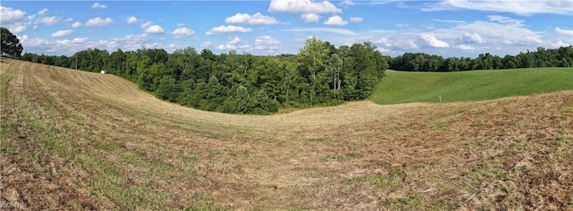 Shepards Hill Rd, Jacobsburg, OH 43933 - photo 32