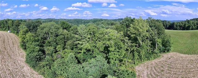 Shepards Hill Rd, Jacobsburg, OH 43933 - photo 33
