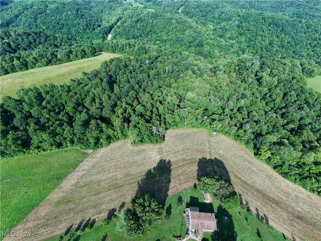 Shepards Hill Rd, Jacobsburg, OH 43933 - photo 36