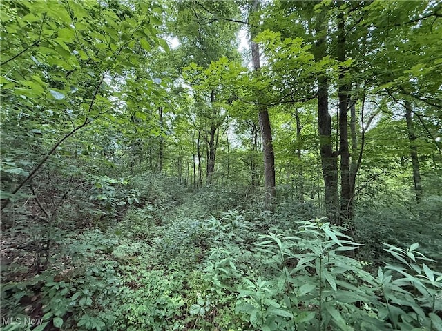 Shepards Hill Rd, Jacobsburg, OH 43933 - photo 16