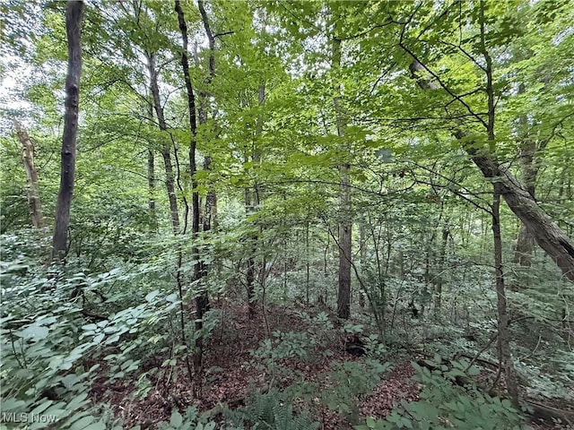 Shepards Hill Rd, Jacobsburg, OH 43933 - photo 18