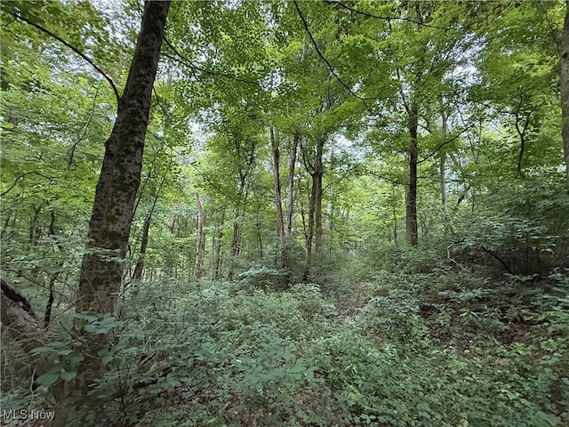 Shepards Hill Rd, Jacobsburg, OH 43933 - photo 19