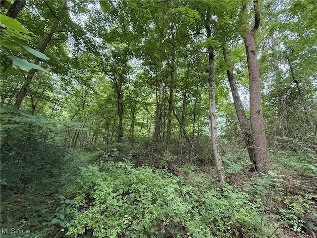 Shepards Hill Rd, Jacobsburg, OH 43933 - photo 20