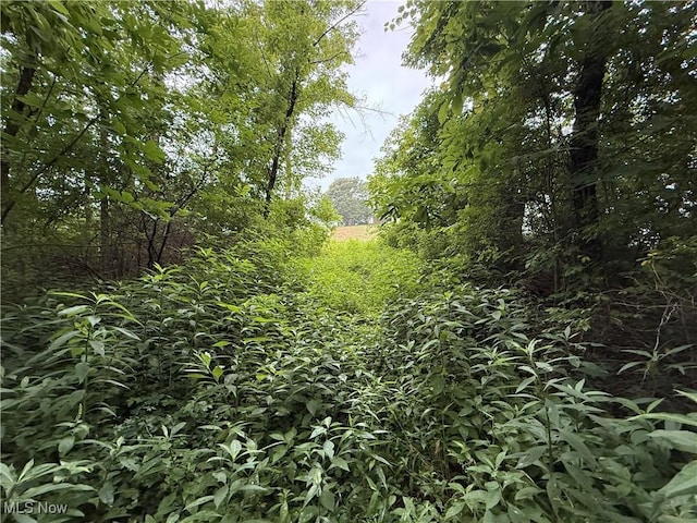 Shepards Hill Rd, Jacobsburg, OH 43933 - photo 21