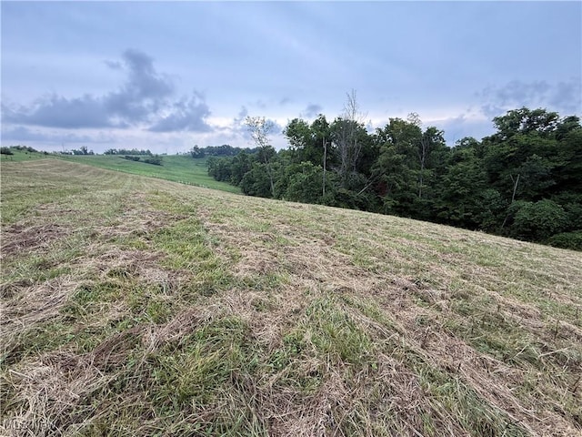 Shepards Hill Rd, Jacobsburg, OH 43933 - photo 22