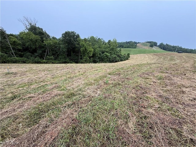 Shepards Hill Rd, Jacobsburg, OH 43933 - photo 23