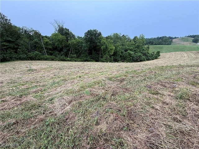 Shepards Hill Rd, Jacobsburg, OH 43933 - photo 24
