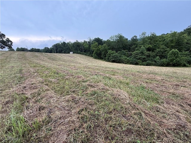 Shepards Hill Rd, Jacobsburg, OH 43933 - photo 25