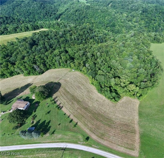 Shepards Hill Rd, Jacobsburg, OH 43933 - photo 27