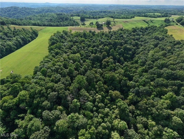 Shepards Hill Rd, Jacobsburg, OH 43933 - photo 28