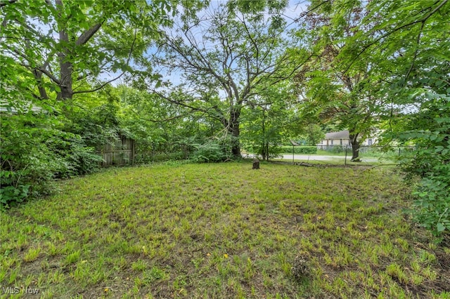 3566 Sykora Rd, Cleveland, OH 44105 - photo 8