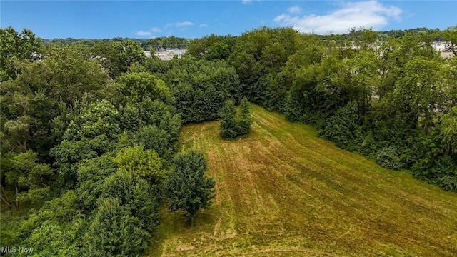 1137 Saint Abigail St SW, Hartville, OH 44632 - drone / aerial view of a heavily wooded area