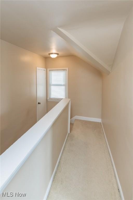 2611 Klusner Ave, Parma, OH 44134 - photo 28