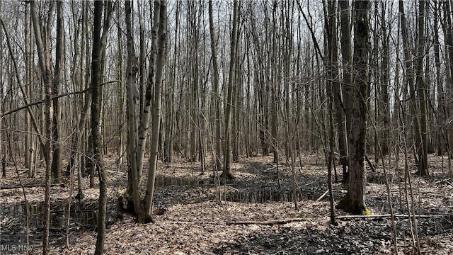 3222 Black Sea Rd, Dorset, OH 44032 - photo 25